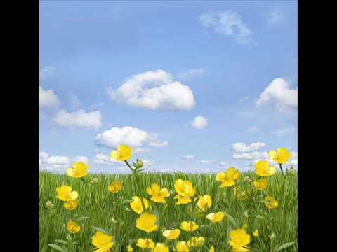 Princessa - Summer of love