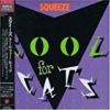 Squeeze/Cool for cat