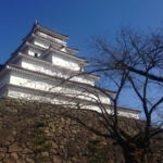 Thumbnail of post image 182