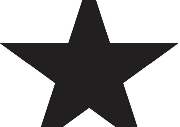 デヴィッド・ボウイ/★